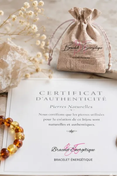 certificat-authentification-bracelet-intestins