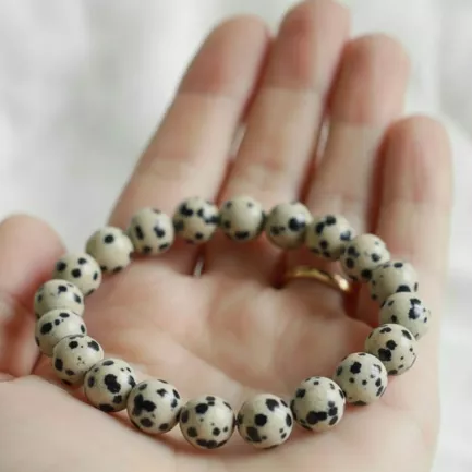 Bracelet Jaspe Dalmatien Pierre Naturelle 8mm Grade AA 3 bracelet jaspe dalmatien posé dans une main