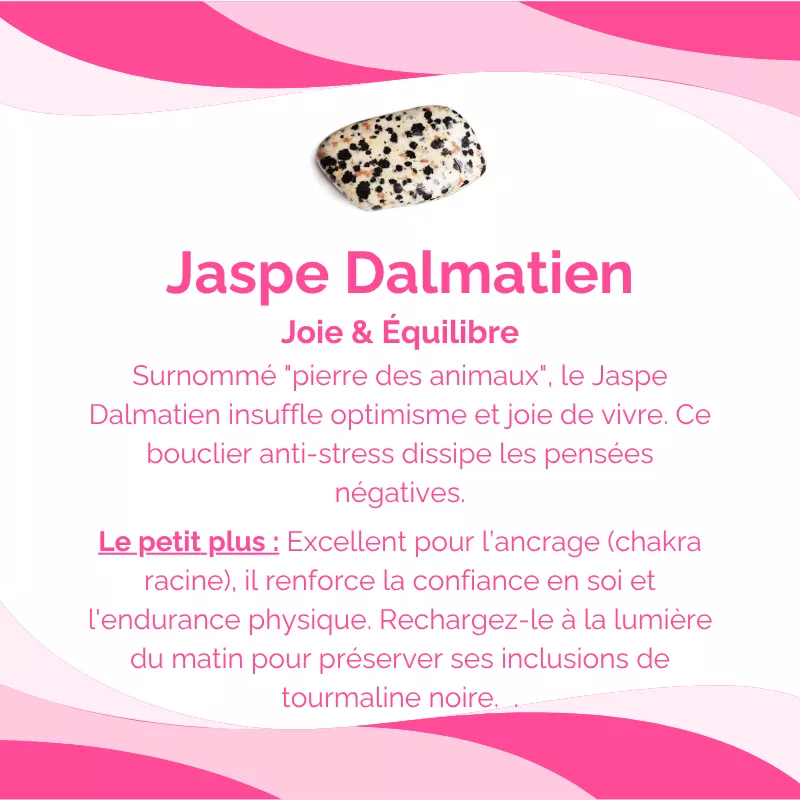Bracelet Jaspe Dalmatien Pierre Naturelle 8mm Grade AA 7 fiche technique jaspe dalmatien